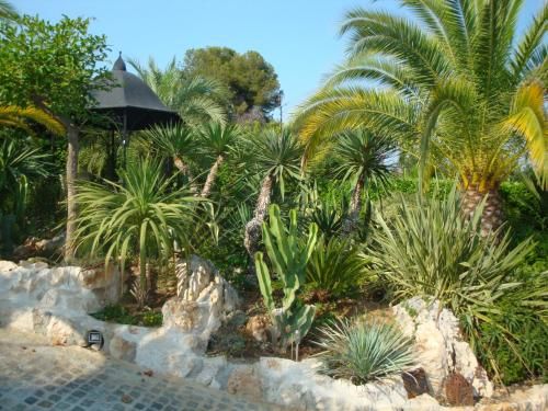 Outdoor Pictures 24