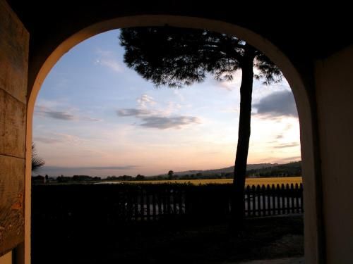 Outdoor Pictures 8