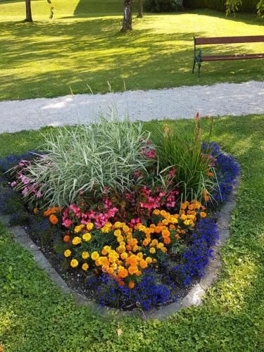 Outdoor Pictures 8