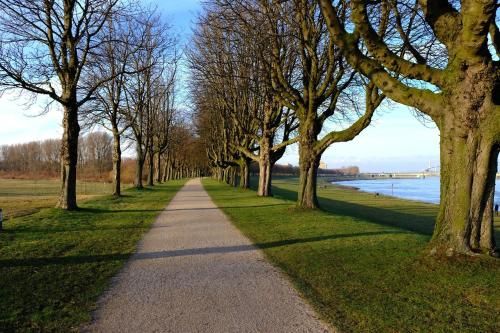 Outdoor Pictures 16