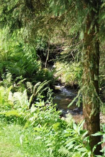 Outdoor Pictures 14