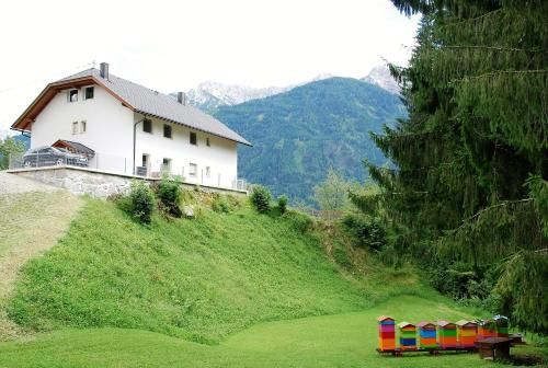 Outdoor Pictures 21