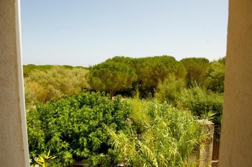 Outdoor Pictures 21