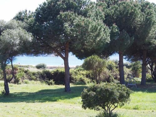 Outdoor Pictures 6