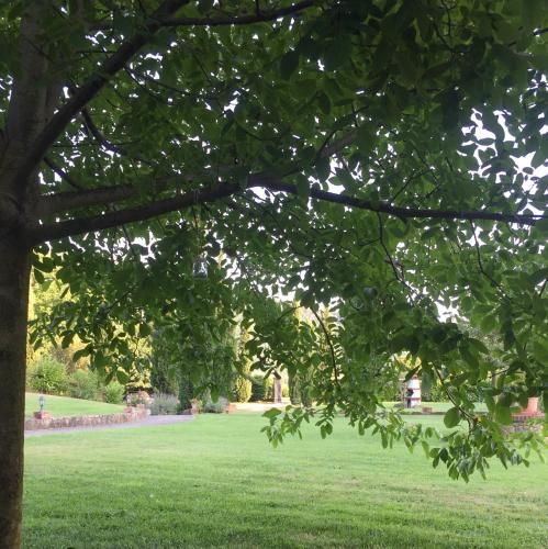 Outdoor Pictures 8