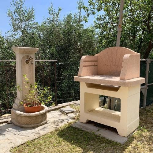 Outdoor Pictures 9