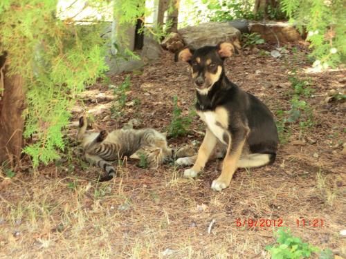 Outdoor Pictures 8