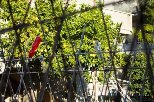 Outdoor Pictures 9