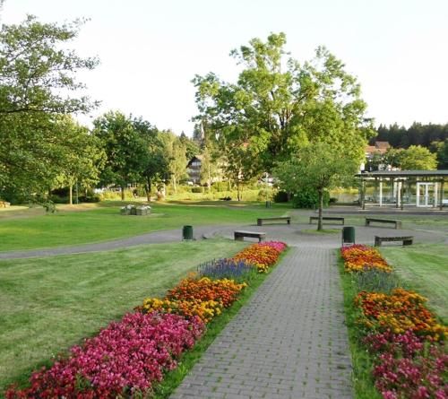 Outdoor Pictures 3