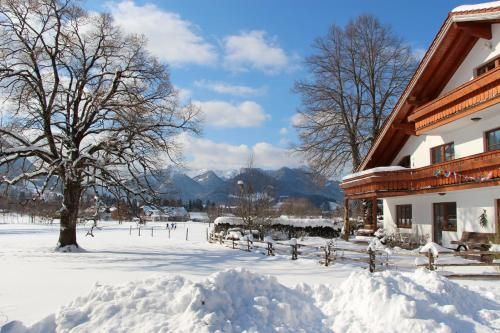 Outdoor Pictures 15