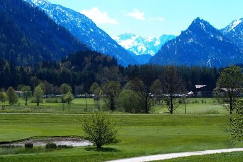 Outdoor Pictures 9