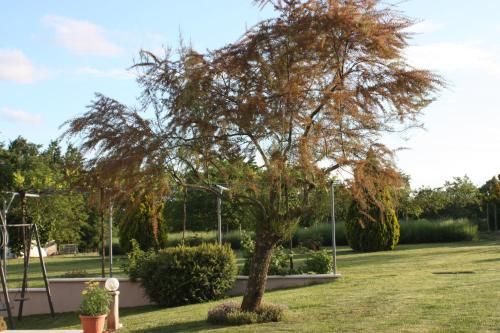 Outdoor Pictures 15