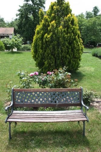 Outdoor Pictures 19
