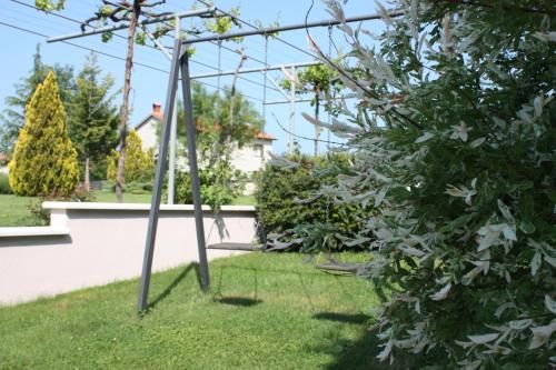 Outdoor Pictures 24