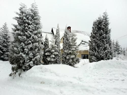Outdoor Pictures 9