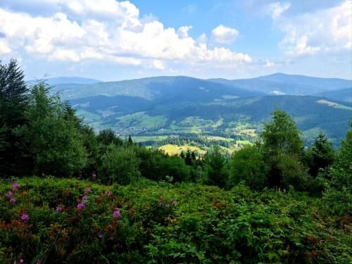 Outdoor Pictures 21