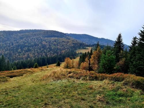 Outdoor Pictures 24