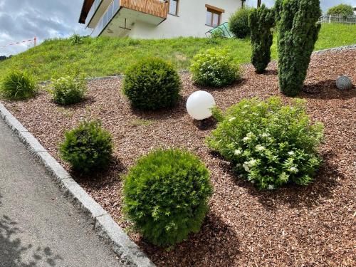 Outdoor Pictures 11