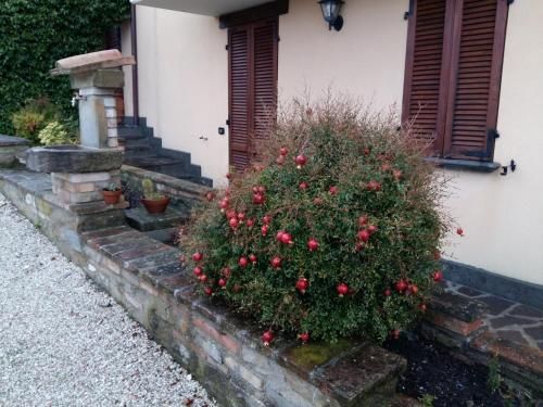 Outdoor Pictures 9