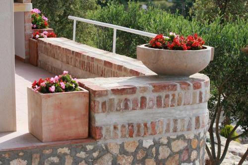 Outdoor Pictures 23