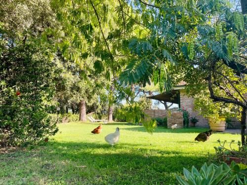 Outdoor Pictures 17