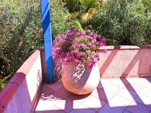 Outdoor Pictures 24