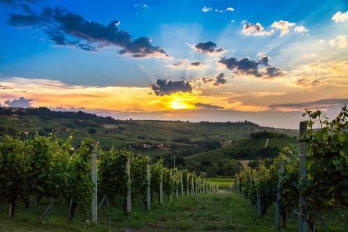 Outdoor Pictures 23