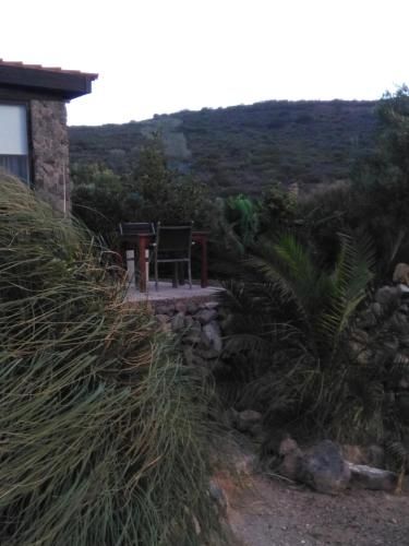 Outdoor Pictures 15