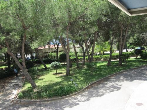 Outdoor Pictures 11