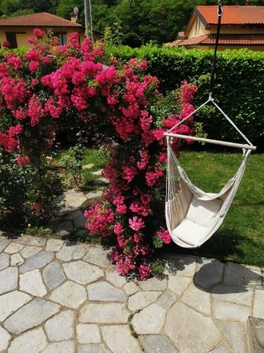 Outdoor Pictures 9