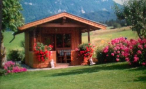 Outdoor Pictures 3