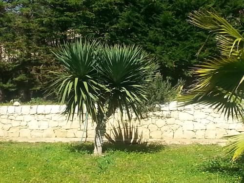 Outdoor Pictures 13