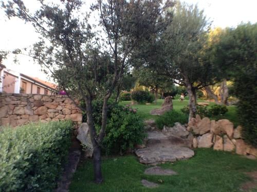 Outdoor Pictures 15