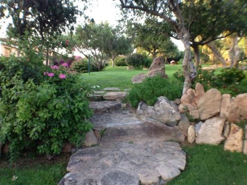 Outdoor Pictures 20
