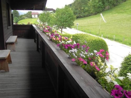 Outdoor Pictures 7