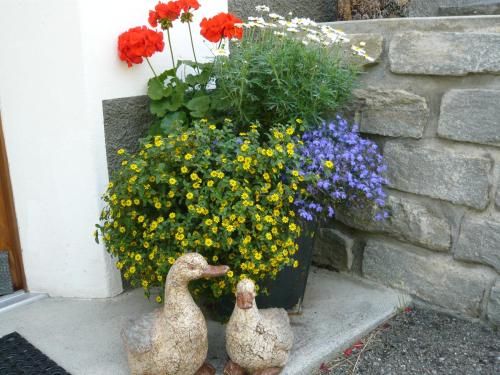 Outdoor Pictures 7