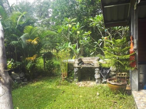 Outdoor Pictures 10