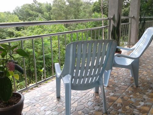 Outdoor Pictures 17