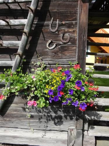 Outdoor Pictures 7