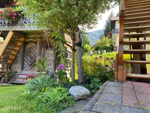 Outdoor Pictures 15