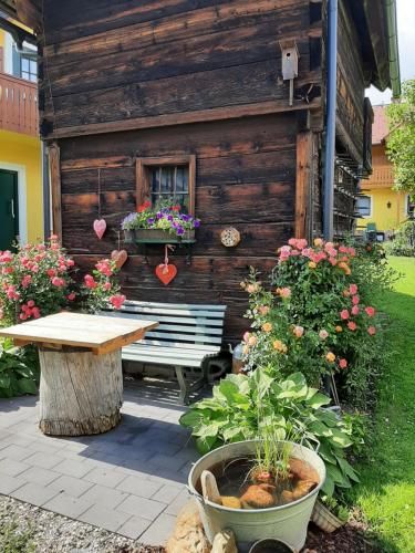 Outdoor Pictures 20