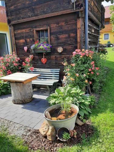 Outdoor Pictures 22
