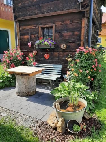 Outdoor Pictures 23