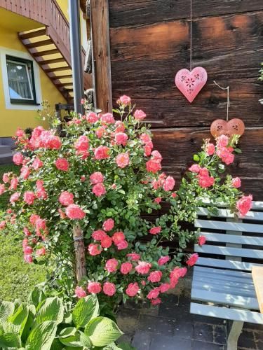 Outdoor Pictures 24