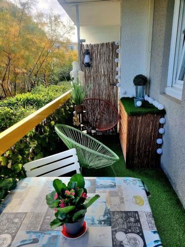 Outdoor Pictures 6