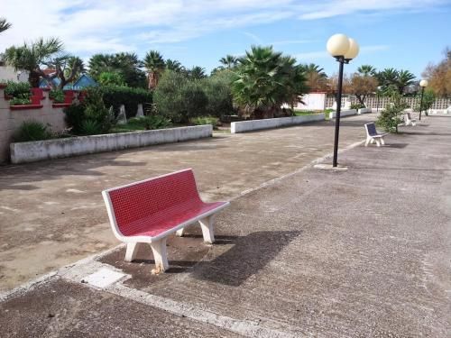 Outdoor Pictures 7