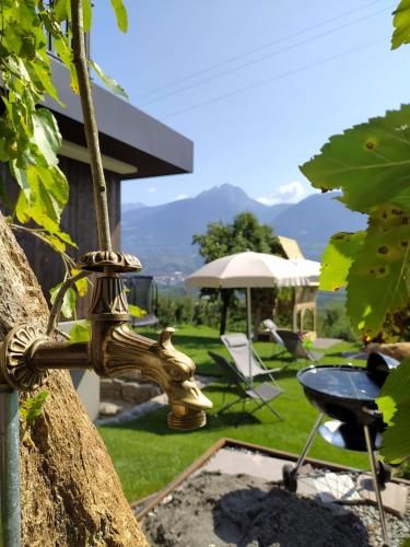 Outdoor Pictures 16
