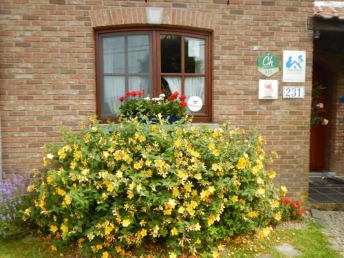 Outdoor Pictures 8