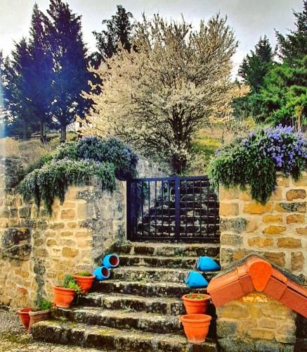 Outdoor Pictures 21
