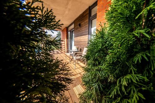 Outdoor Pictures 21